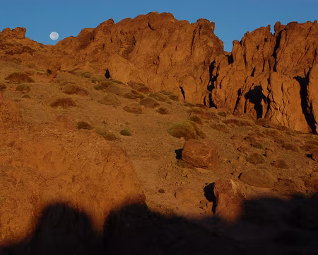 DSC_0755 Et la lune ne veut pas se coucher.
