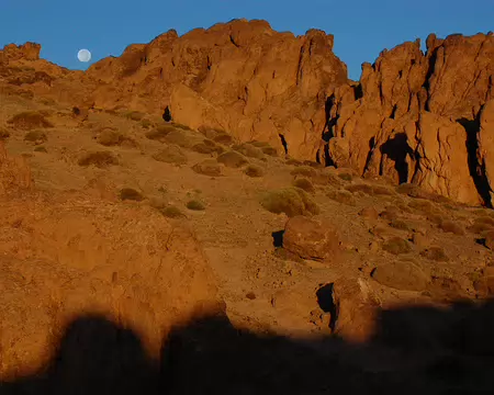 DSC_0755 Et la lune ne veut pas se coucher.