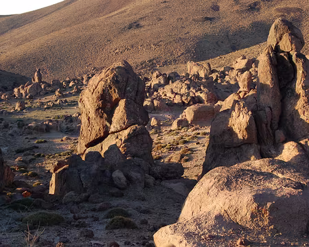 DSC_0756 Les ombres sont encore longues dans ce champs de menhirs naturels.