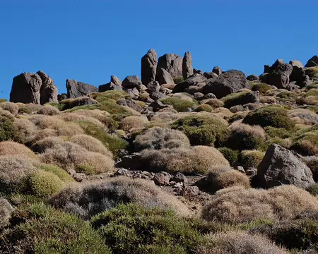 DSC_0766 Boules végétales et roches verticales se côtoient.