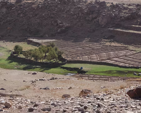 DSC_0843 Ici, on a privilégié les cultures aux vergers.