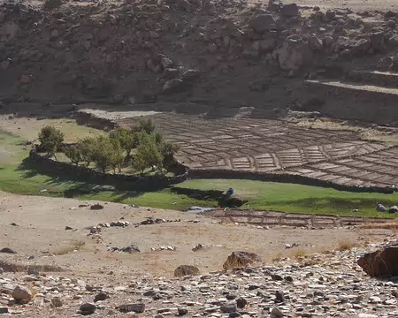 DSC_0843 Ici, on a privilégié les cultures aux vergers.