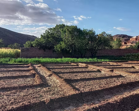 20251005_174307-01 Tamlakout