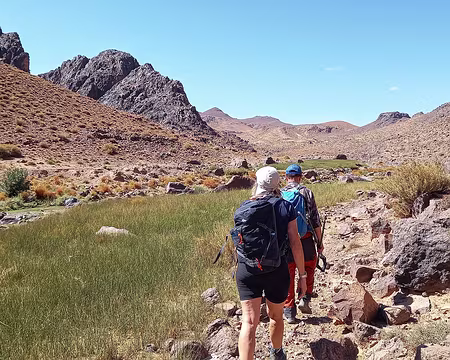 20251006_115210-01 Chaleur écrasante dans l'oued Tinzaline, avant le barrage (sans eau ou presque, et plein de petites grenouilles).