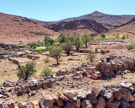 20251006_124157-01 Oasis, définition : Endroit d'un désert qui, grâce à un point d'eau, présente de la végétation et permet la culture. Désert, définition : Vaste région aride,...