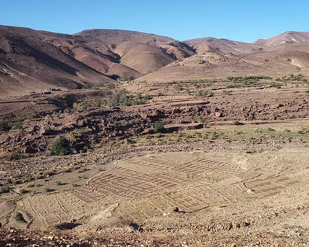 20251007_092453-01 Mar. 7 oct. 2025. Vallée d'Aït Tigga. Parcelles prêtes à être cultivées et irriguées.