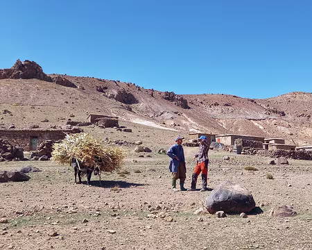 20251007_124547-01 Notre guide ne manque jamais de discuter avec les bergers cultivateurs.