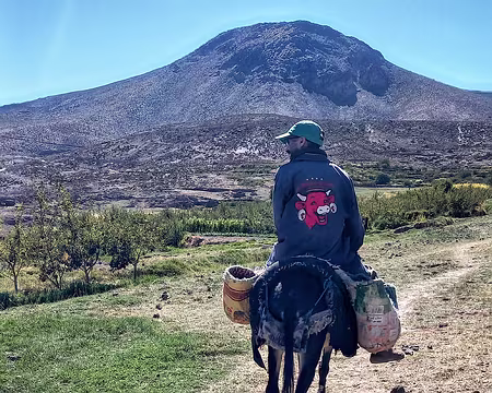 20251007_152159-01 Un des rares fromages de la région. Derrière l'homme à dos d'âne, le Tisfaldat qui peut se gravir facilement (2910 m).