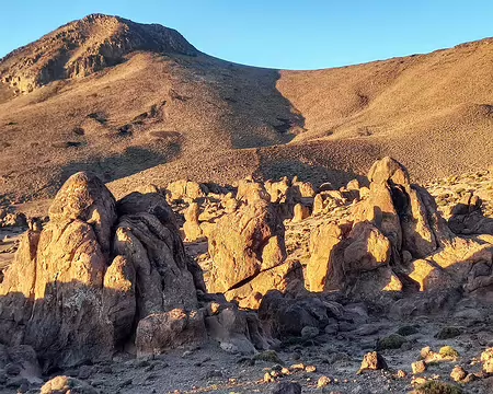 20251008_074559-01