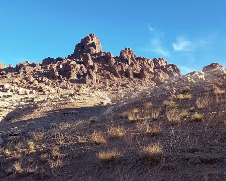 20251009_083800-01 Cavalcade de troupeau au dessus de nous. Parfois le soir les troupeaux nous entourent.