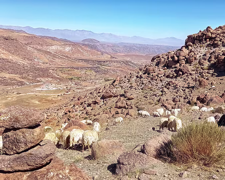 20251009_114249-01 Au col à 2550 m entre Amzdour et Foudrar. Les cairns ne marquent pas un sentier, ils délimitent une propriété.