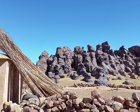 20251009_120037-01 Les roseaux serviront à recouvrir le toit (avec aussi une bâche et de la terre).