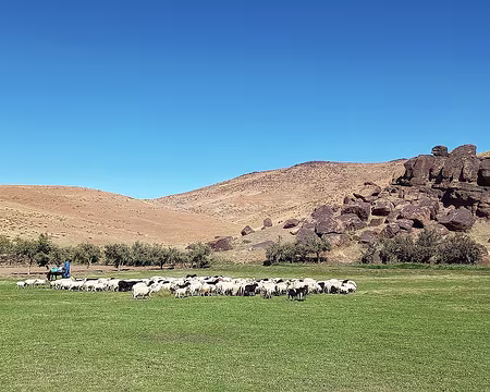 20251009_151717-01 Une très belle vallée NS à l'herbe encore verte entre Ouzlim et Amzdour.