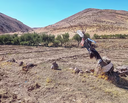 20251010_120107-01 On débouche sur une vaste zone de cultures et de pâturages irrigués par l'Assif n'Tamanart.