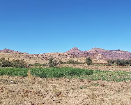 20251010_120540-01 Orge. 40% de la population marocaine vit de l'agriculture.