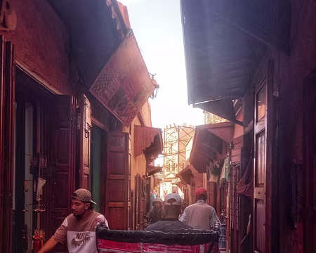 20251012_130317-01 Intense circulation.