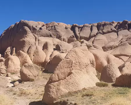 20251010_140504