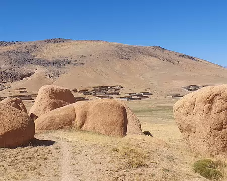 20251010_141222