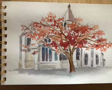 aquarelle Orme Japonais Marina