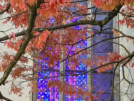 Nathalie Nathalie J, détail sortie