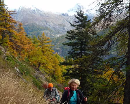 2025-10-26 12-33-10 Direction mélèzes