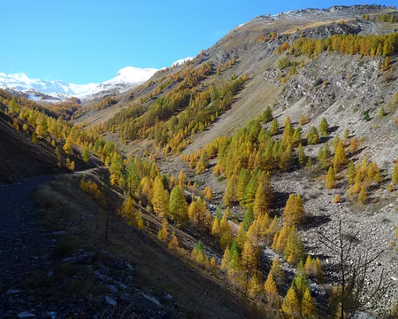 2025-10-26 13-45-03 Recherchons soleil pour le pique-nique