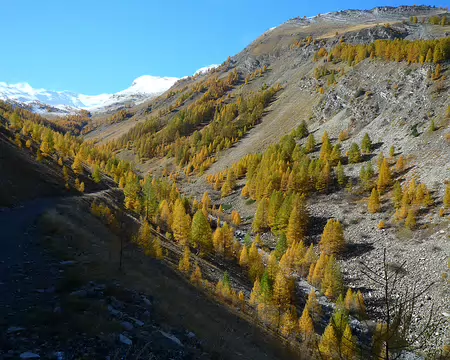 2025-10-26 13-45-03 Recherchons soleil pour le pique-nique