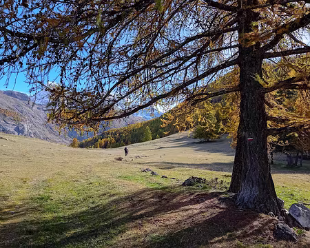 2025-10-27 10-28-47 hdr