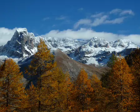 2025-10-27 13-13-41 Au point 