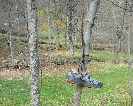 2025-11-01 15-55-12 Alice, as-tu laissé une chaussure en allant courir ?