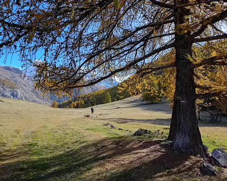 2025-10-27 10-28-47 hdr