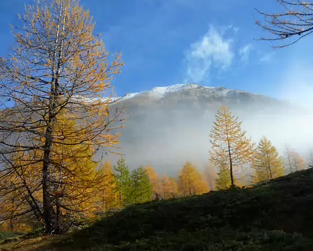 2025-10-30 12-11-59 En montant au col de Bravaria (2319 m)
