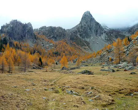 2025-11-01 11-53-46 Dernier jour : dans le vallon de Tesina