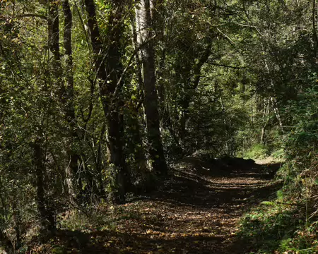 003_DSCF9931