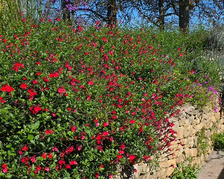 012 Les jardins ont été créés par le Docteur Linarès à la fin du XIXe siècle
