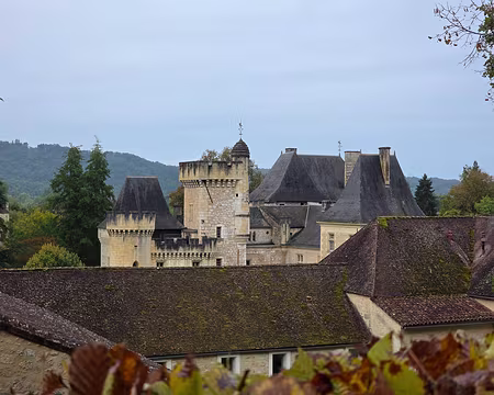 018 Le château de Campagne est la propriété du département de la Dordogne