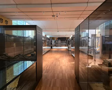 090 Inaugurée le 19 juillet 2004, l'extension du musée national de la Préhistoire conçue par l'architecte parisien Jean-Pierre Buffi a considérablement augmenté les...