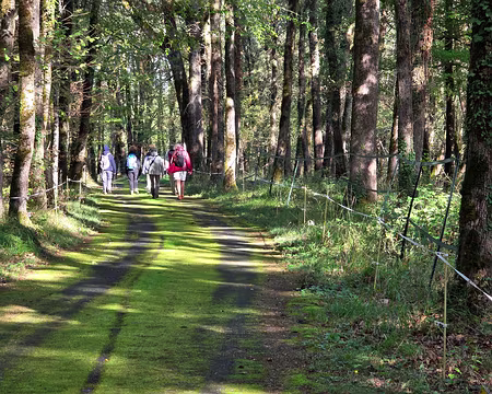142 Petite route sur la boucle des Rapiettes à Saint-Amand-de-Coly
