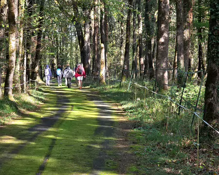 142 Petite route sur la boucle des Rapiettes à Saint-Amand-de-Coly