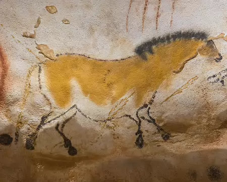 159 Associé à une technologie de pointe et à une recherche scientifique approfondie, nous sommes transportés dans un voyage hors du commun