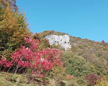 003 c'est parti ! pour la montée