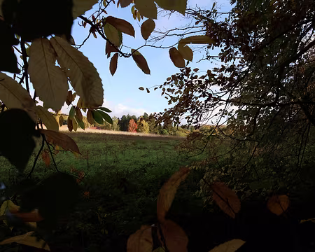 Rando_CAF_Vaux_de_Cernay-04