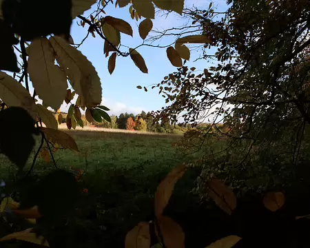 Rando_CAF_Vaux_de_Cernay-04