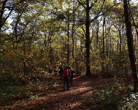 Rando_CAF_Vaux_de_Cernay-08