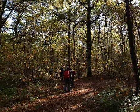 Rando_CAF_Vaux_de_Cernay-08