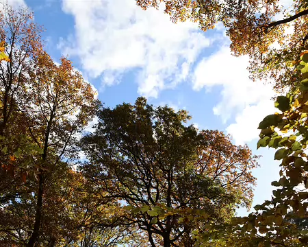 Rando_CAF_Vaux_de_Cernay-09