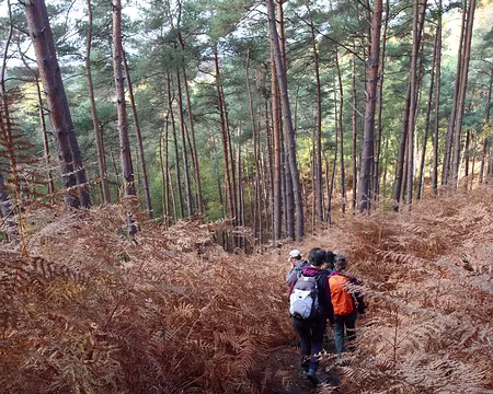 Rando_CAF_Vaux_de_Cernay-13