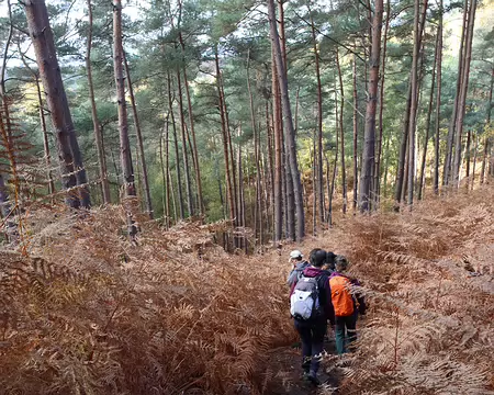 Rando_CAF_Vaux_de_Cernay-13