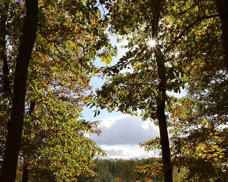 Rando_CAF_Vaux_de_Cernay-18