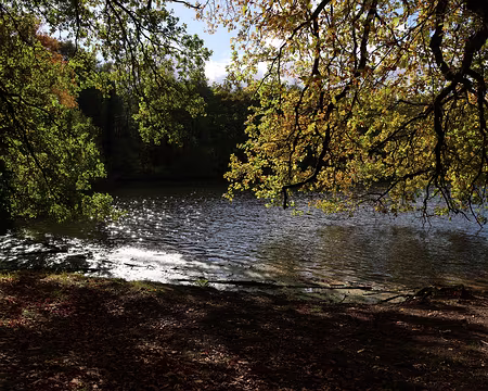 Rando_CAF_Vaux_de_Cernay-20